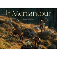 LE MERCANTOUR