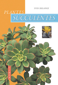 Plantes succulentes