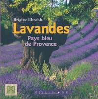 Lavandes - pays bleu de Provence