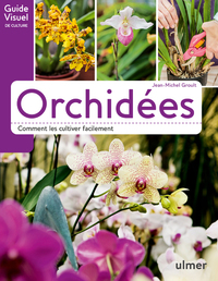 Orchidées - Comment les cultiver facilement