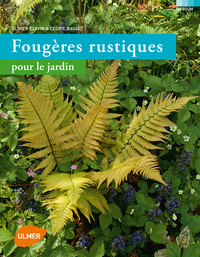 Fougères rustiques pour le jardin