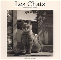 Chats, photographies et poèmes