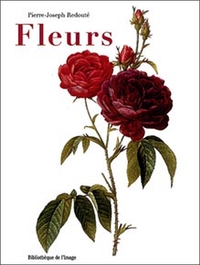 Fleurs. Pierre-Joseph Redoute