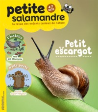 N°20 La petite salamandre