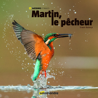 Le martin-pêcheur