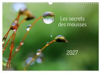 Les secrets des mousses (Calendrier mural 2027 DIN A3 vertical), CALVENDO calendrier mensuel