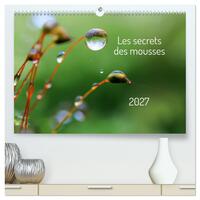 Les secrets des mousses (Calendrier mural haut de gamme 2027 DIN A2 vertical), CALVENDO calendrier mensuel