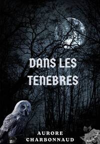 Dans les ténèbres