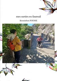 MES SORTIES EN FAUTEUIL