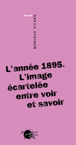 L'ANNEE 1895. L'IMAGE ECARTELEE ENTRE VOIR ET SAVOIR