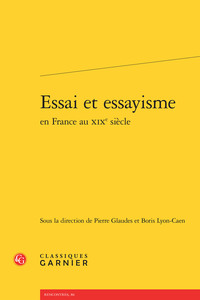 Essai et essayisme