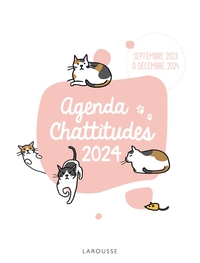 AGENDA CHATTITUDES 2023-2024