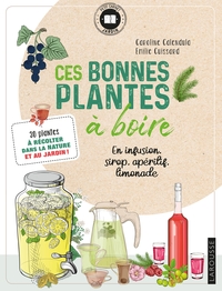 CES BONNES PLANTES A BOIRE - 30 PLANTES A RECOLTER DANS LA NATURE ET AU JARDIN !