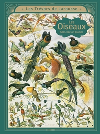 LES OISEAUX - Ailes, becs et plumes