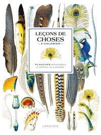 AFFICHES A COLORIER : LECONS DE CHOSES