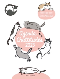 AGENDA CHATTITUDES 2023