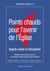 POINTS CHAUDS POUR L'AVENIR DE L'EGLISE - REGARDS CROISES EN FRANCOPHONIE