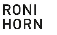 Roni Horn: Arists'S Sketchbook /anglais