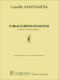 O BEAUX REVES EVANOUIS VIOLON