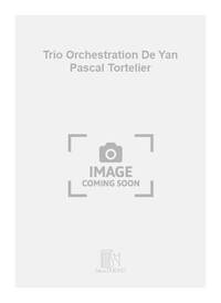 TRIO ORCHESTRATION DE YAN PASCAL TORTELIER ORCHESTRE