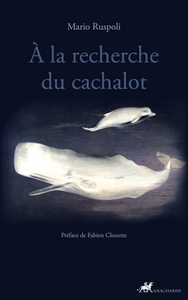A LA RECHERCHE DU CACHALOT