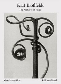 Karl Blossfeldt The Alphabet of Plants (Bibliotheque visuelle) /anglais