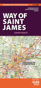 CAMINO DE SANTIAGO - MAPAS PIRENAICOS