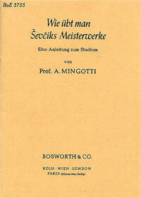 ANTON MINGOTTI: WIE UBT MAN SEVCIKS MEISTERWERKE LIVRE SUR LA MUSIQUE