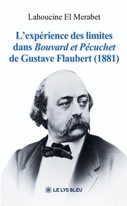 L'expérience des limites dans Bouvard et Pécuchet de Gustave Flaubert (1881)