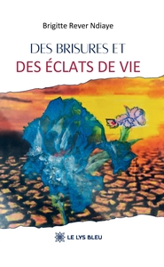 DES BRISURES ET DES ECLATS DE VIE