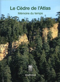 Le cèdre de l'Atlas