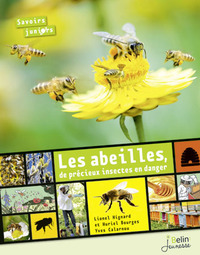 Les abeilles, de précieux insectes en danger (nouvelle édition)