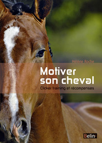 Motiver son cheval