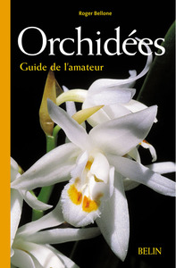Orchidées