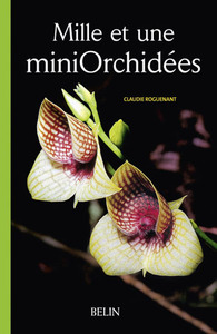 Mille et une mini Orchidées