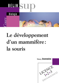 Le développement d'un mammifère : la souris