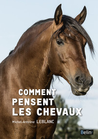 Comment pensent les chevaux