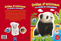 Rouge - panda drôles d'animaux