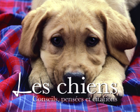 Les chiens