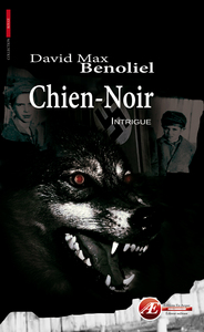 Chien noir - roman