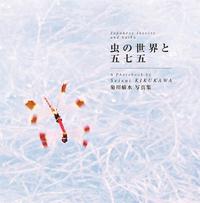 JAPANESE INSECTS AND HAIKU /ANGLAIS/JAPONAIS