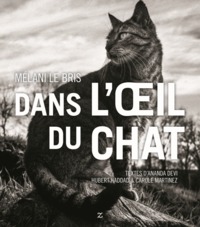 Dans l'oeil du chat