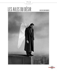 AILES DU DESIR (LES) - BLU-RAY