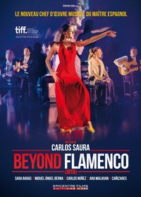 BEYOND FLAMENCO - DVD