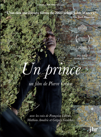 UN PRINCE - DVD