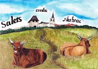 SALERS CONTRE AUBRAC