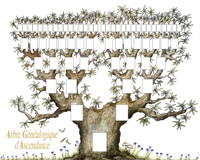 Généa 6 générations