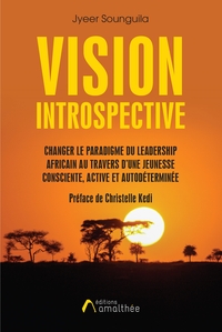 VISION INTROSPECTIVE