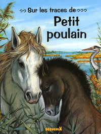 Sur les traces de petit poulain