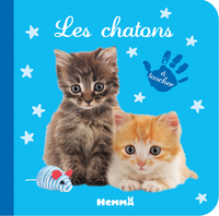 Bébé touche-à-tout - Les chatons